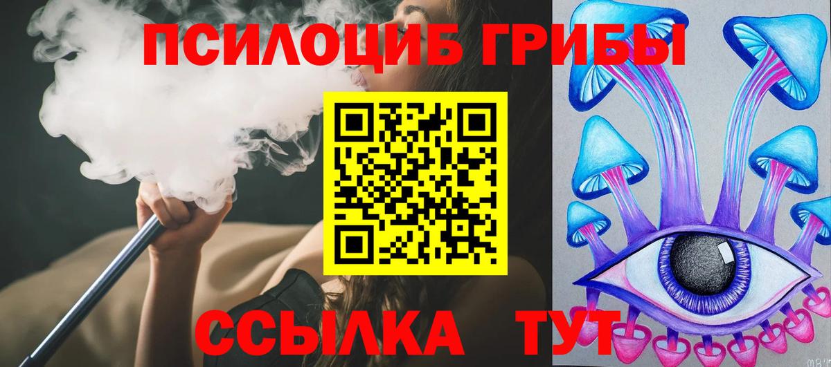Галлюциногенные грибы Psilocybine cubensis  Псилоцибиновые грибы ЛСД  Нягань  Вход с VPN 