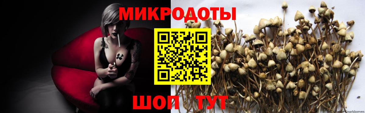 Псилоцибиновые грибы GOLDEN TEACHER Нягань